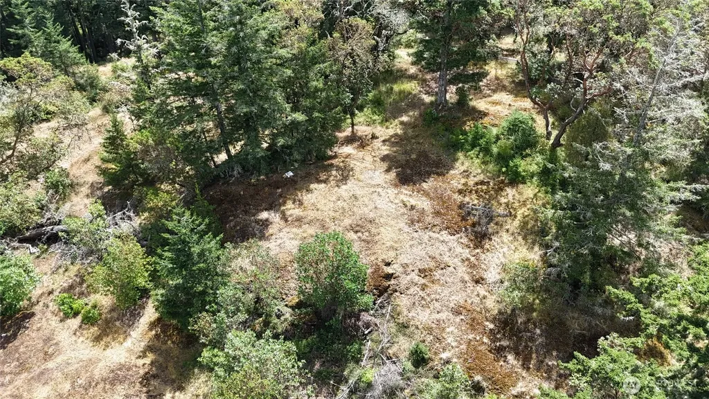 0 Woodpecker Lane Friday Harbor WA 98250