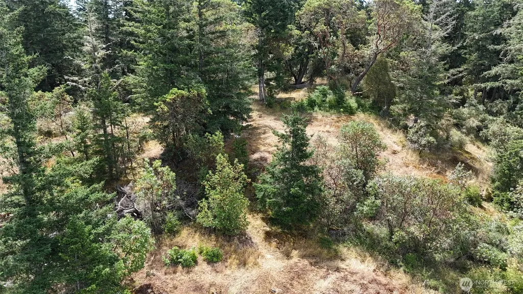 0 Woodpecker Lane Friday Harbor WA 98250