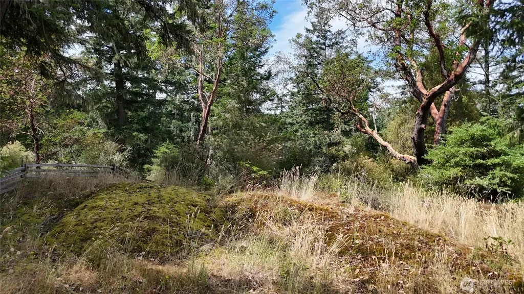0 Woodpecker Lane Friday Harbor WA 98250