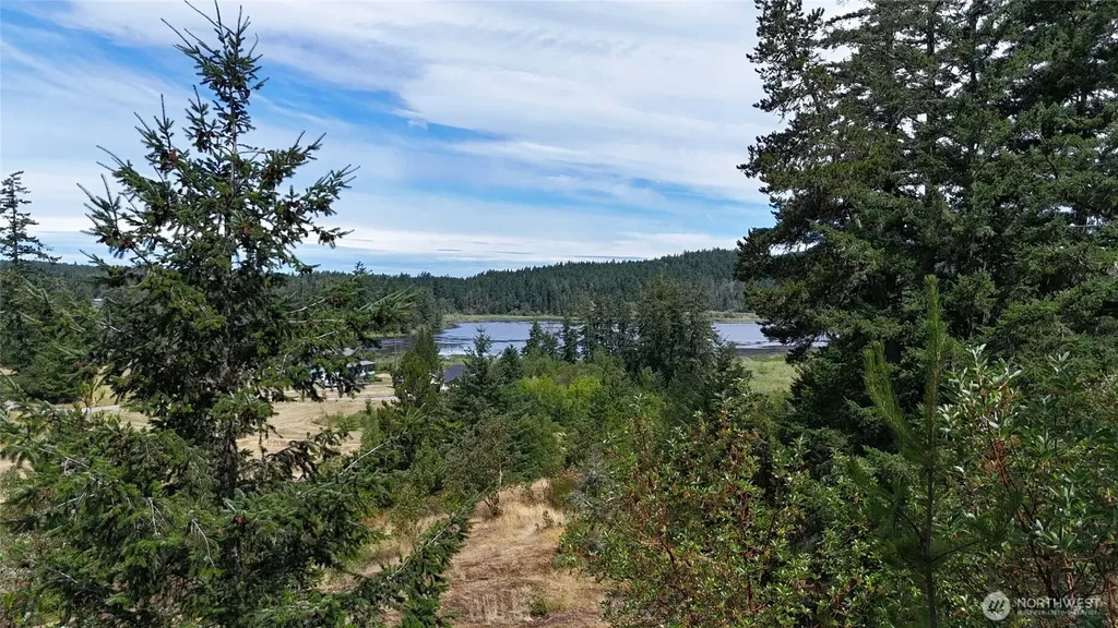 0 Woodpecker Lane Friday Harbor WA 98250