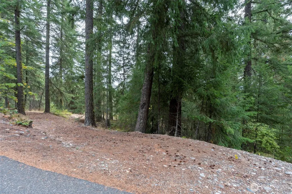 0 Boulder Lane Ronald WA 98940
