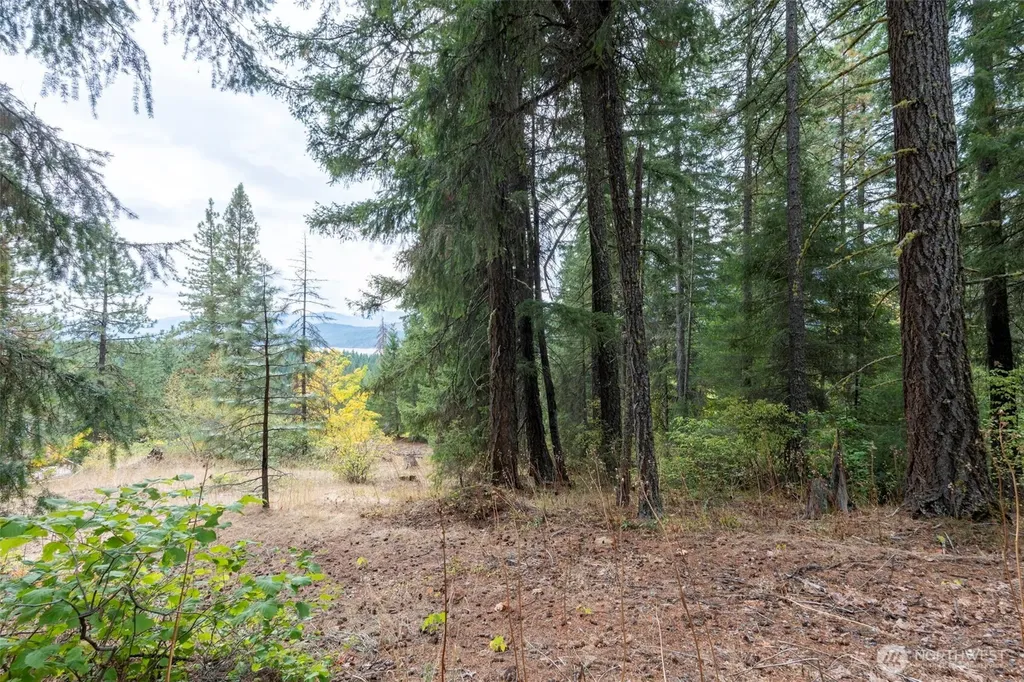 0 Boulder Lane Ronald WA 98940