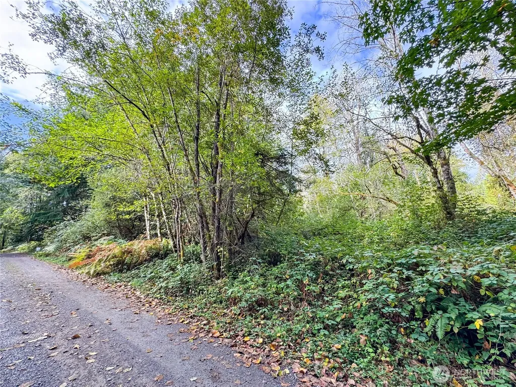 120 184th Avenue Ct NW Lakebay WA 98349
