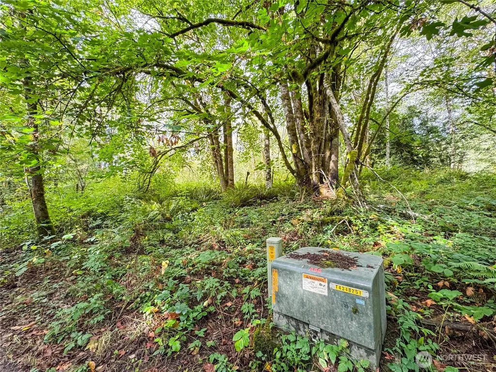120 184th Avenue Ct NW Lakebay WA 98349