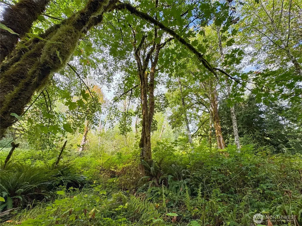 120 184th Avenue Ct NW Lakebay WA 98349
