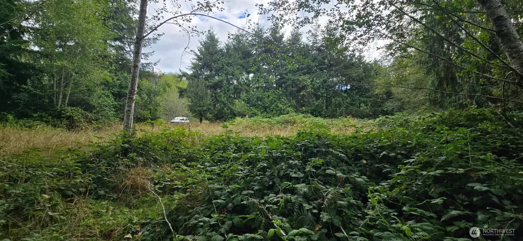 1351 Satsop Road W Montesano WA 98563