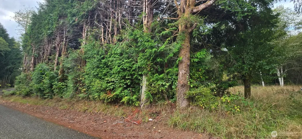 1351 Satsop Road W Montesano WA 98563