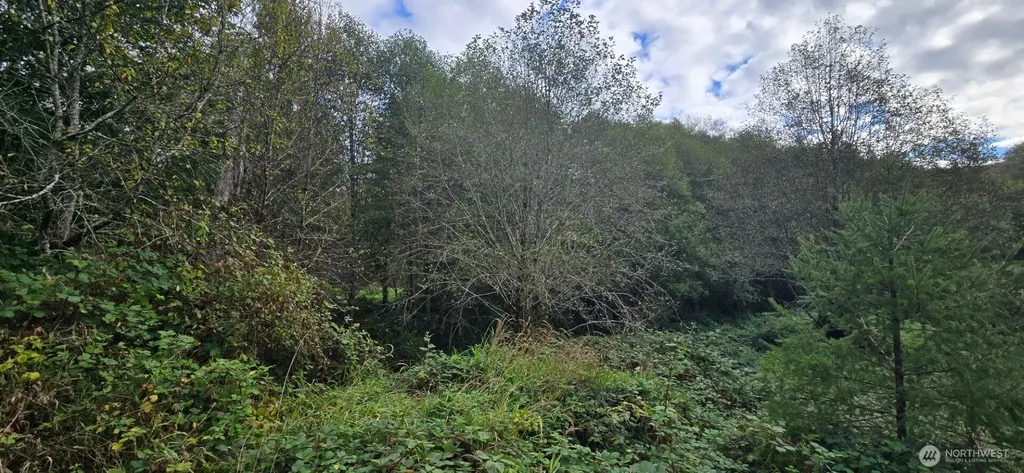 1351 Satsop Road W Montesano WA 98563