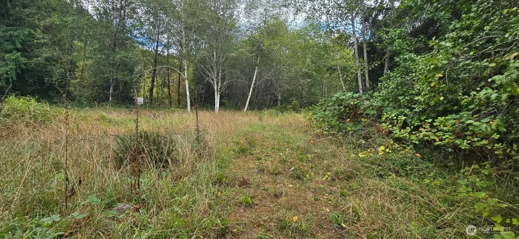 1351 Satsop Road W Montesano WA 98563
