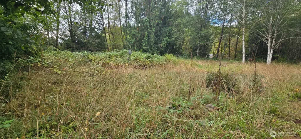 1351 Satsop Road W Montesano WA 98563