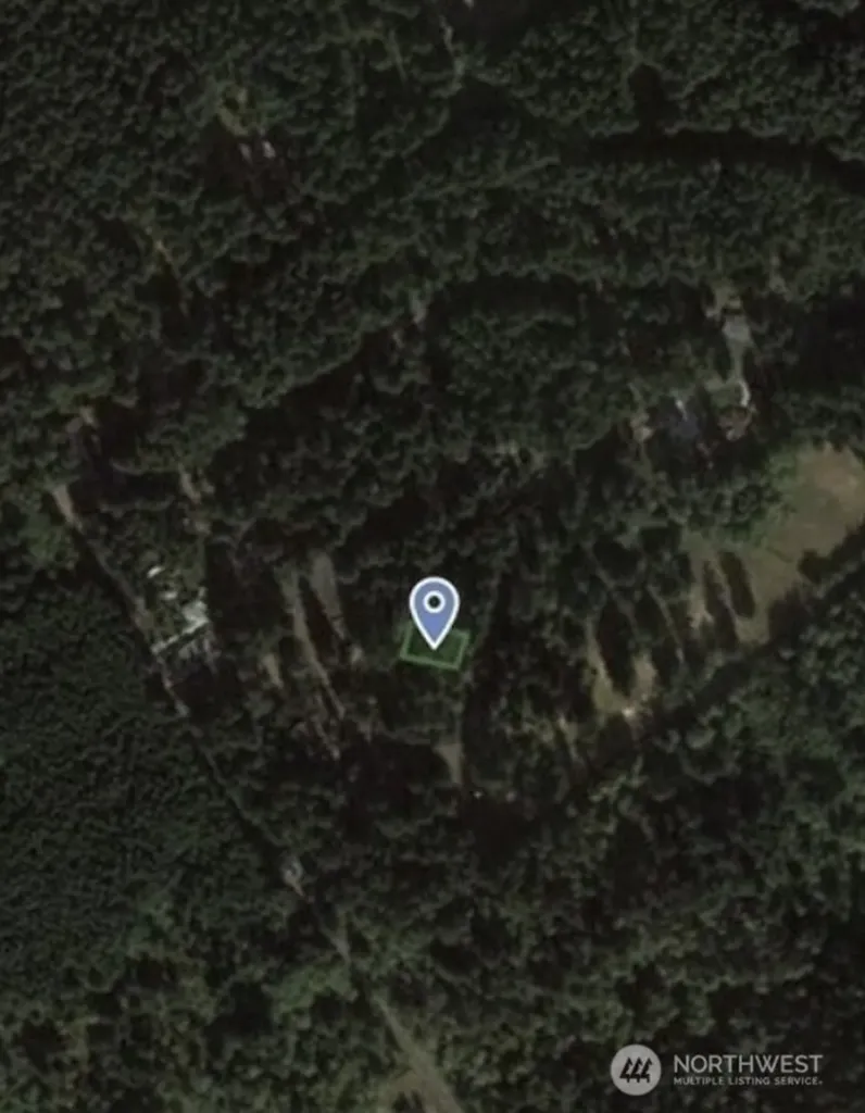 10608 Edgewood Drive Anderson Island WA 98303