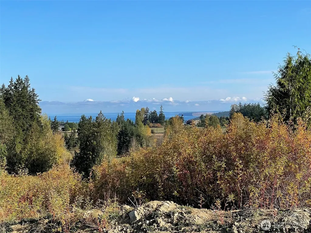 577 Simdars Road Sequim WA 98382