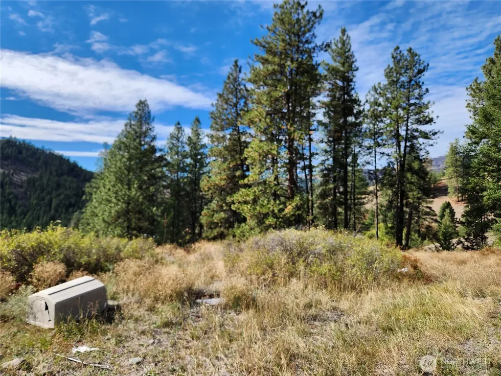 18 Robin Road Republic WA 99166