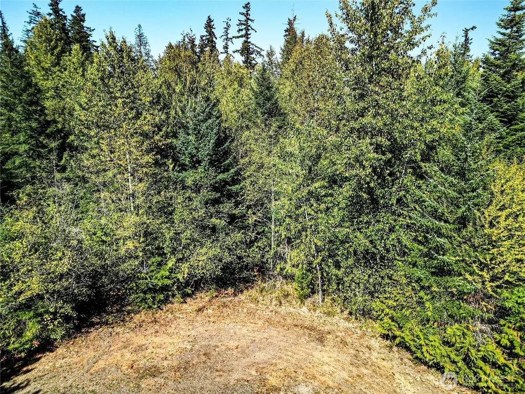 0 Colville Road Port Angeles WA 98362