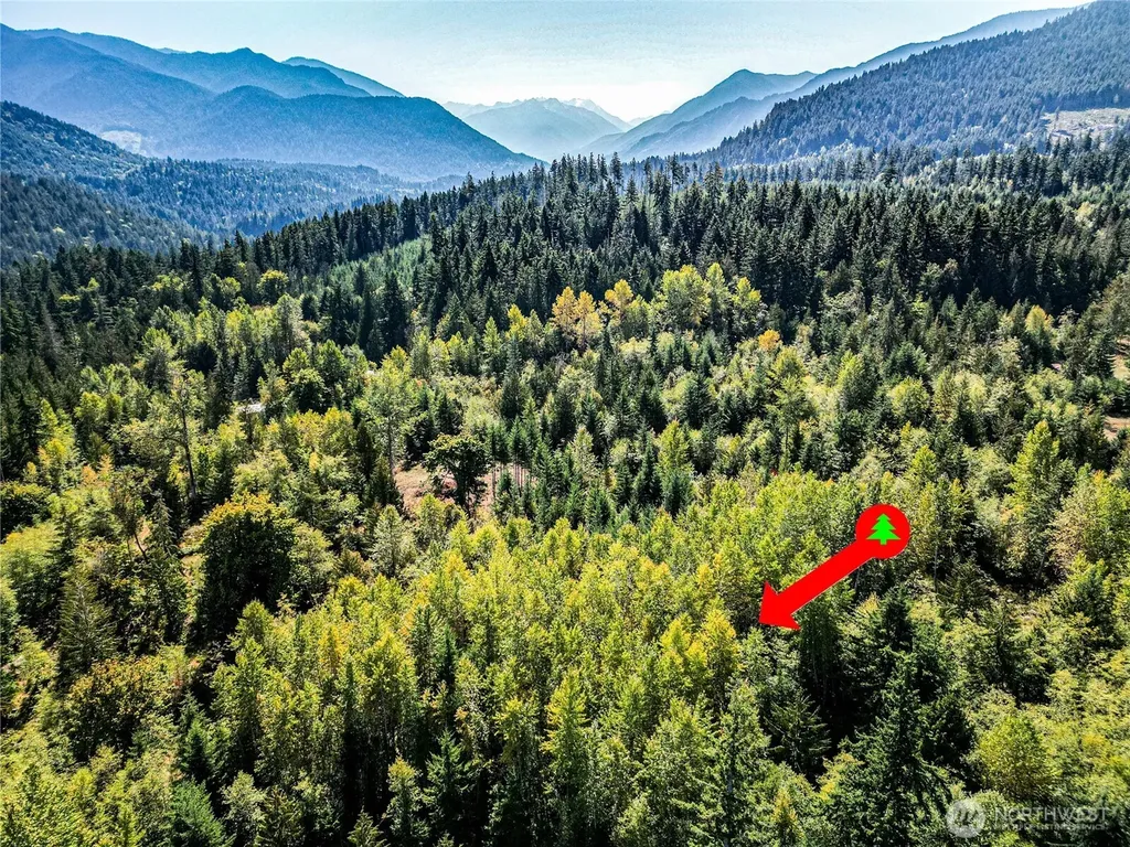 0 Colville Road Port Angeles WA 98362