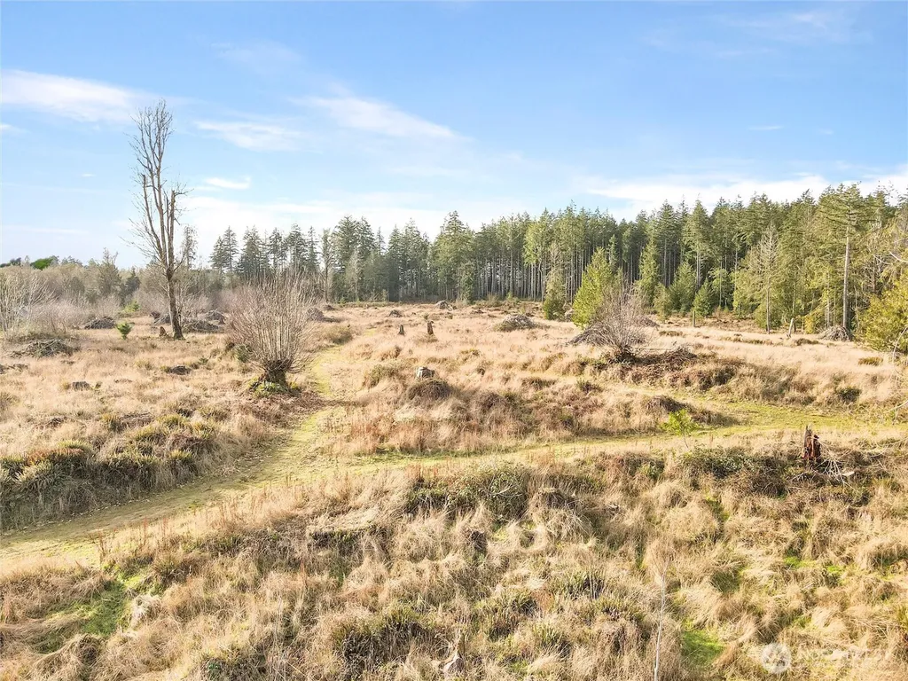 0 Gravelly Beach Loop NW Olympia WA 98502