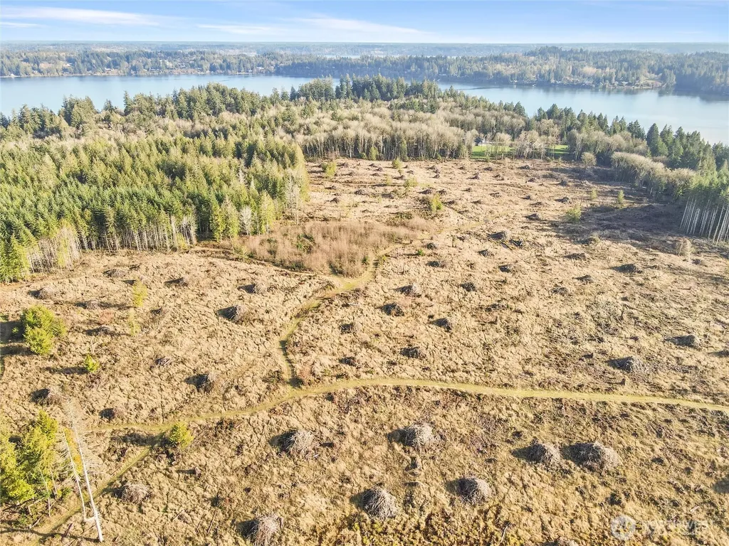 0 Gravelly Beach Loop NW Olympia WA 98502