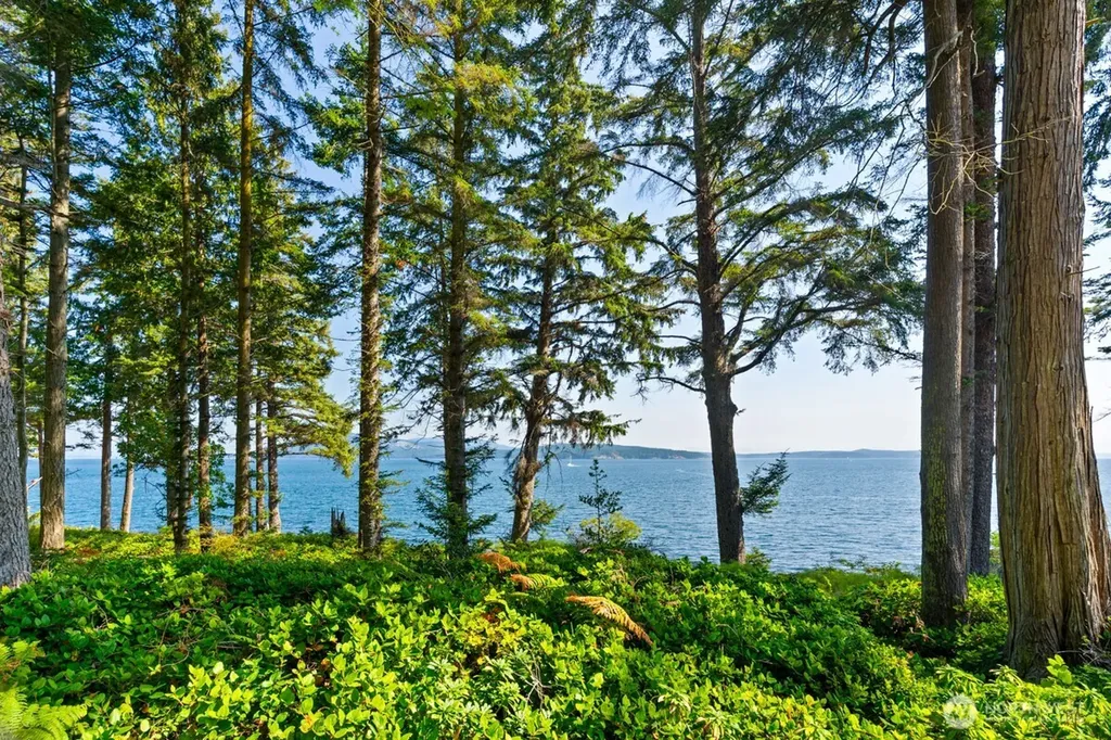0 San Juan Drive Friday Harbor WA 98250