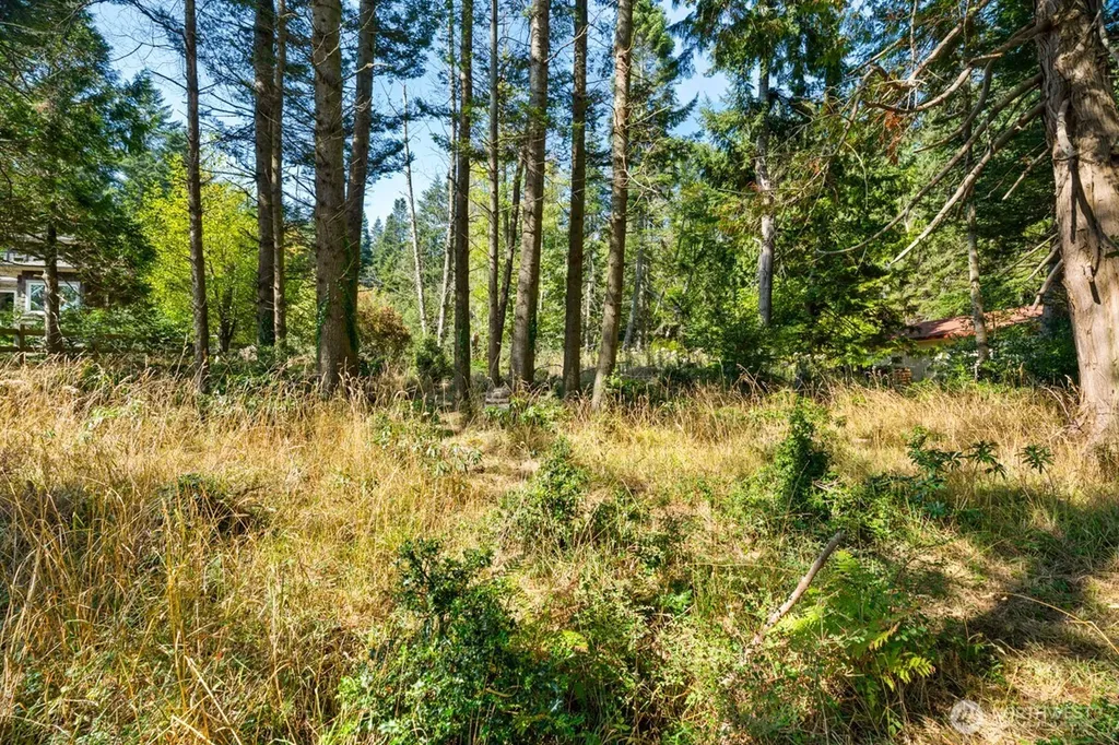0 San Juan Drive Friday Harbor WA 98250