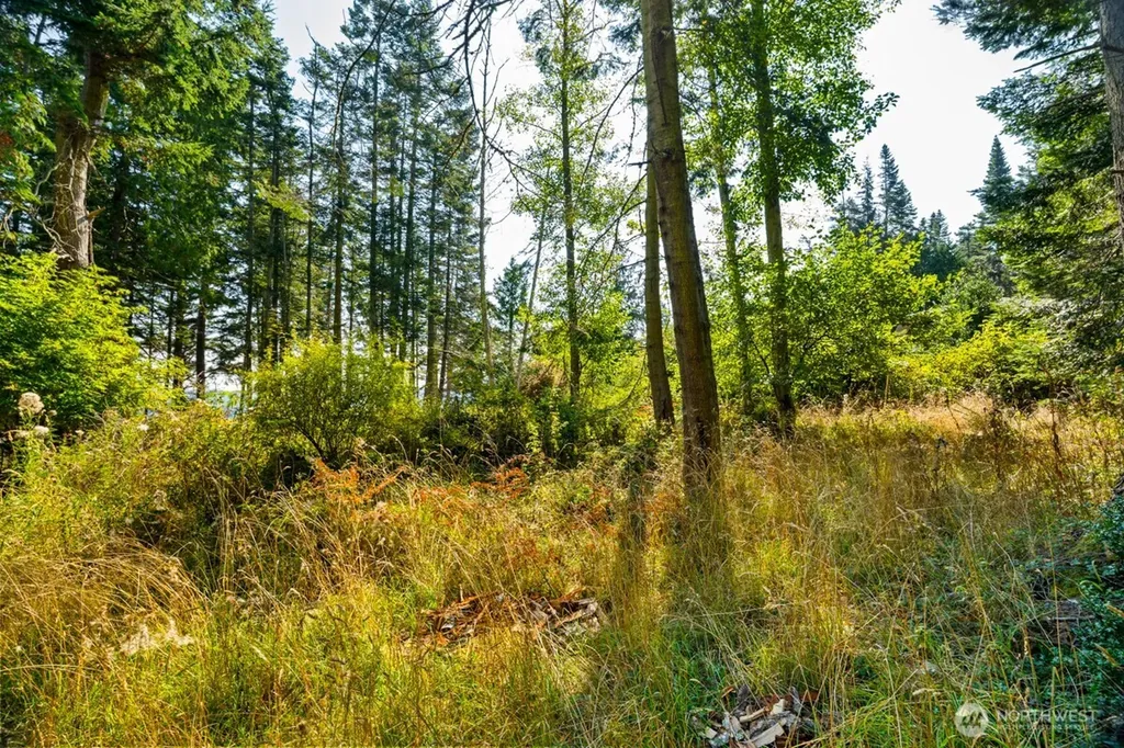 0 San Juan Drive Friday Harbor WA 98250