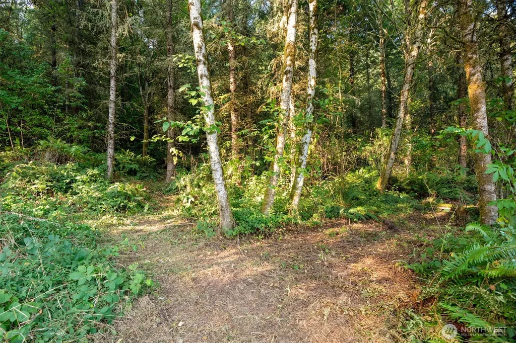 189 Kjesbu Road Silver Creek WA 98585