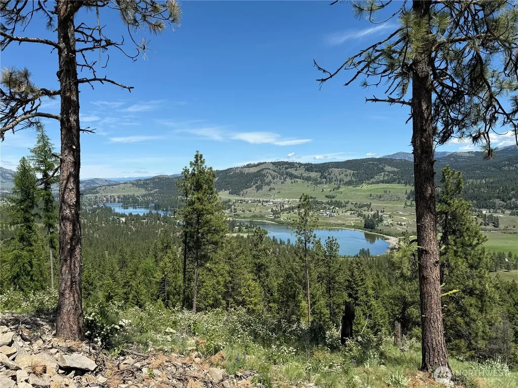 113 Boulder Way Republic WA 99166