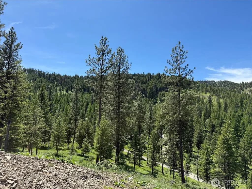 113 Boulder Way Republic WA 99166