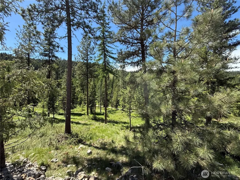 113 Boulder Way Republic WA 99166