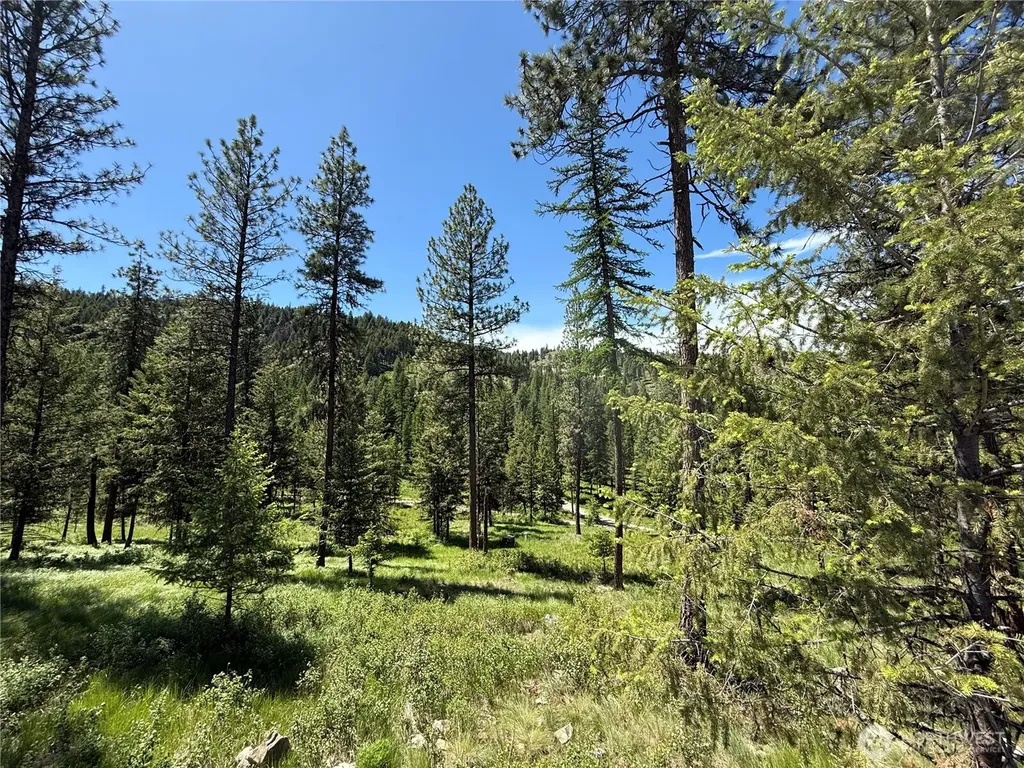 113 Boulder Way Republic WA 99166
