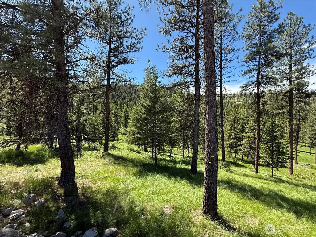 113 Boulder Way Republic WA 99166