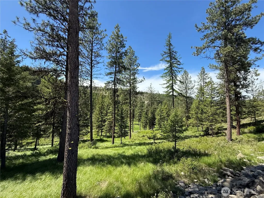 113 Boulder Way Republic WA 99166
