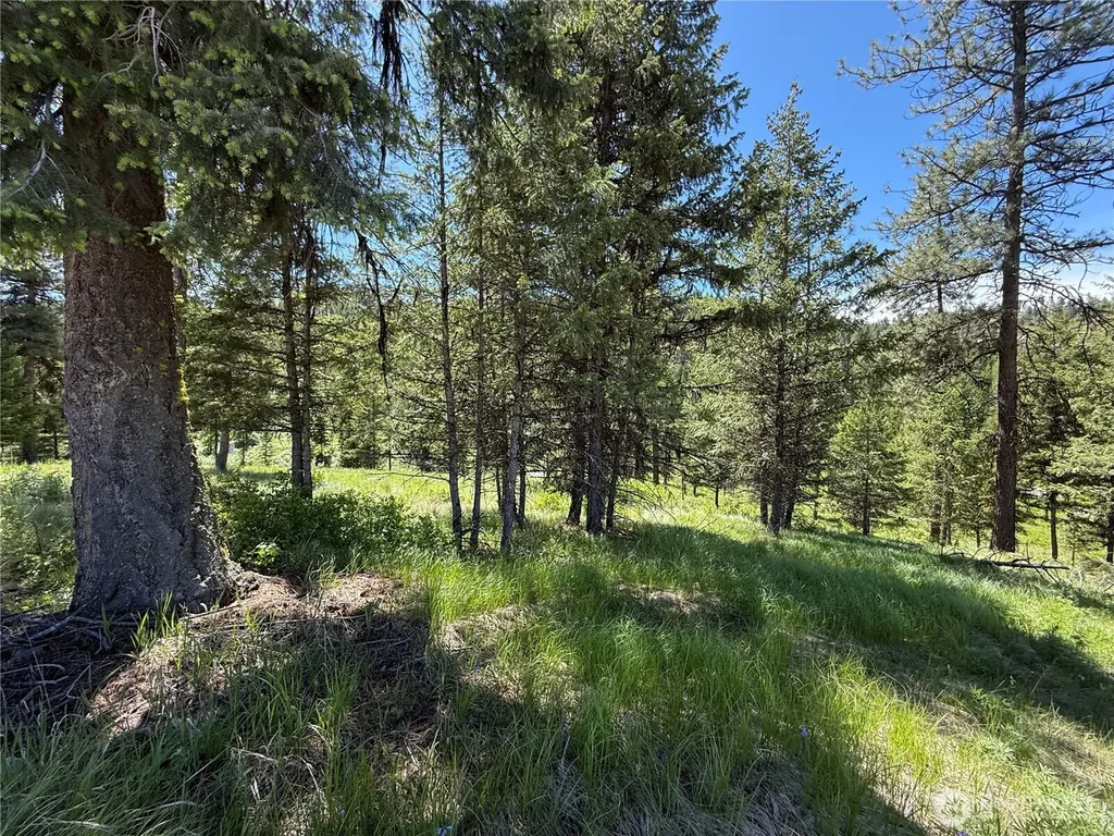 113 Boulder Way Republic WA 99166
