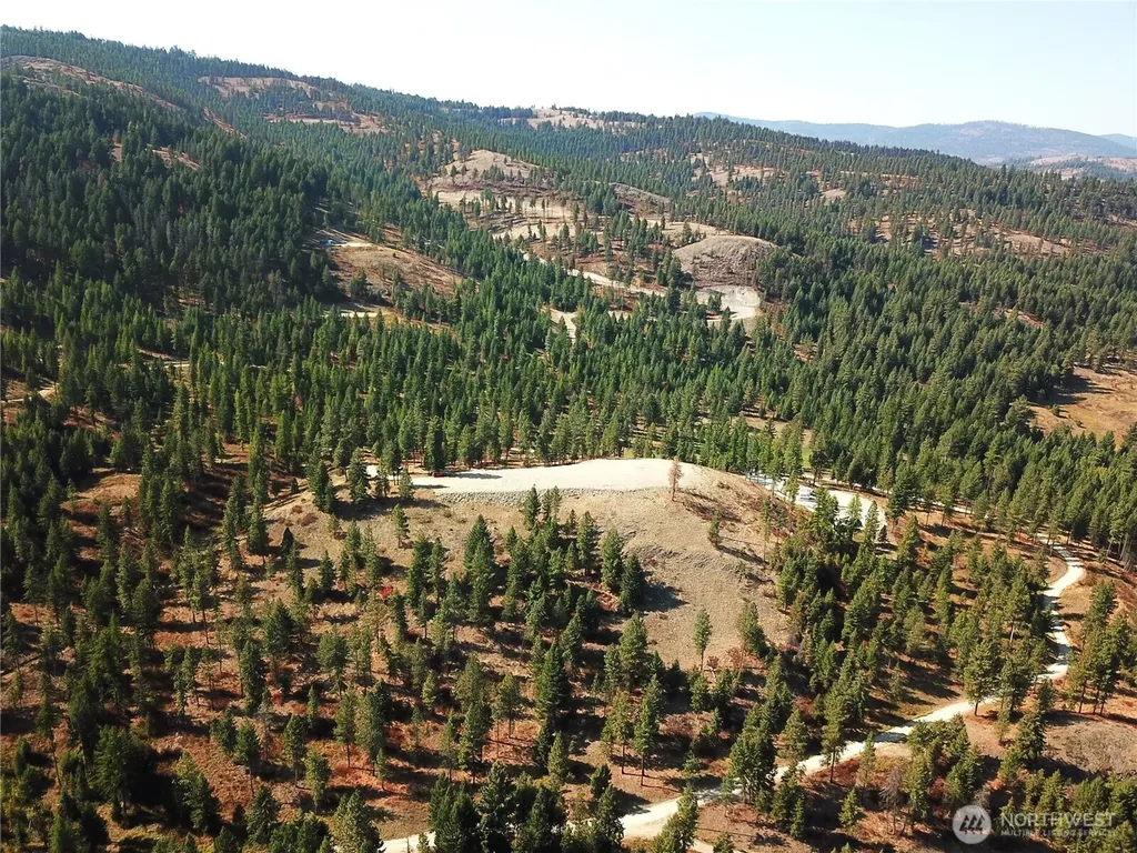113 Boulder Way Republic WA 99166