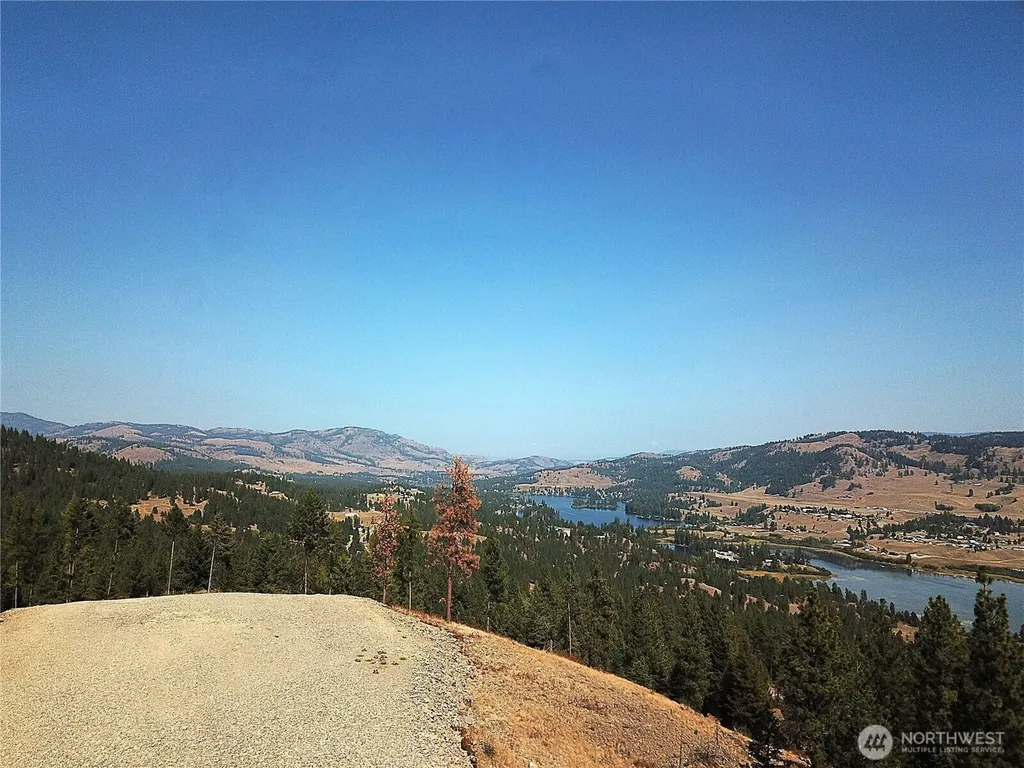113 Boulder Way Republic WA 99166
