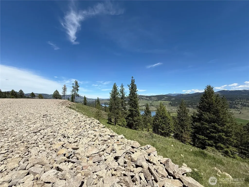 113 Boulder Way Republic WA 99166