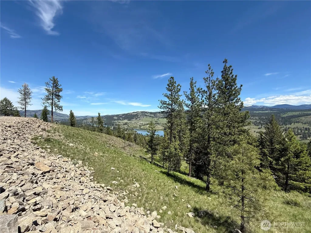 113 Boulder Way Republic WA 99166