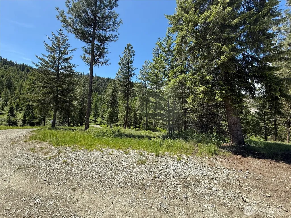 113 Boulder Way Republic WA 99166