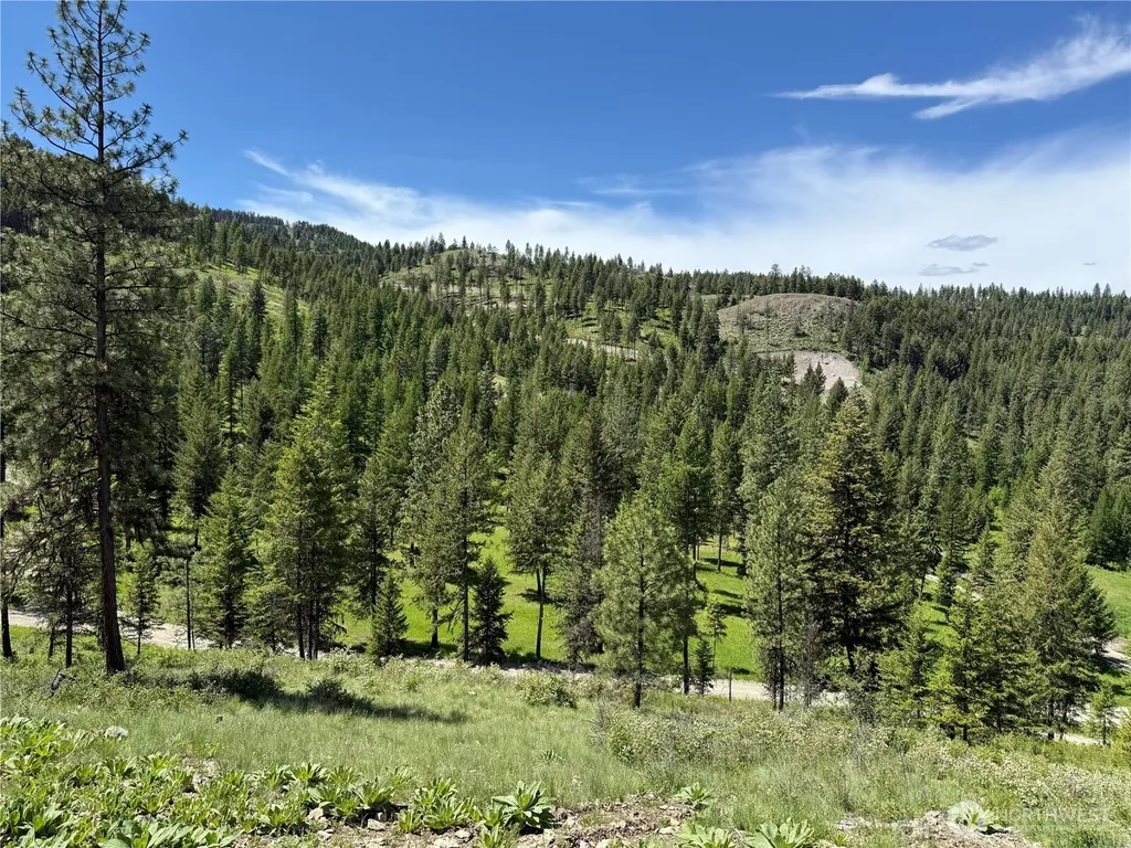 113 Boulder Way Republic WA 99166