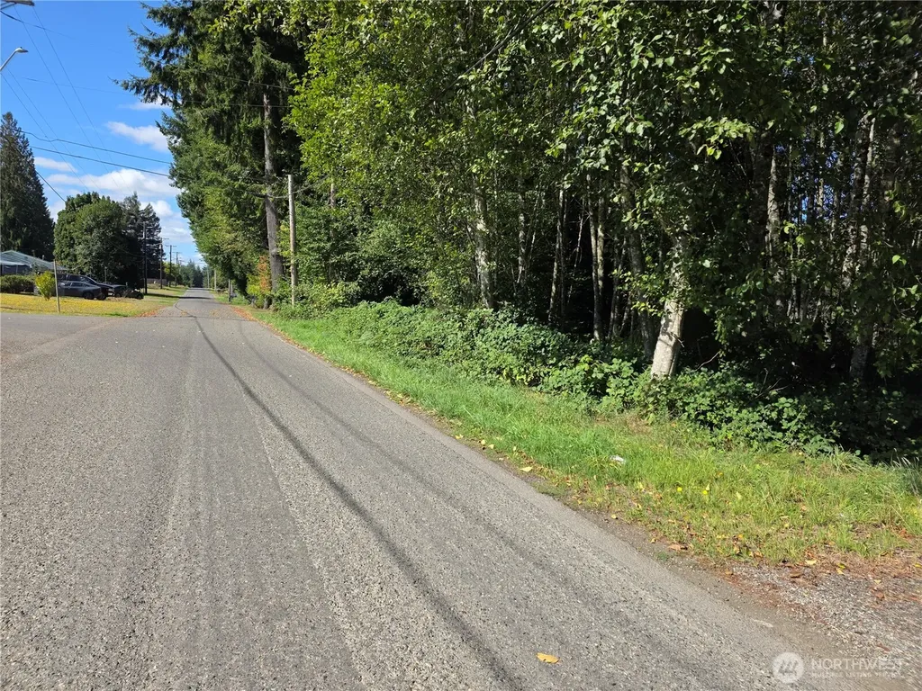 0 Garden Hill Road W Elma WA 98520