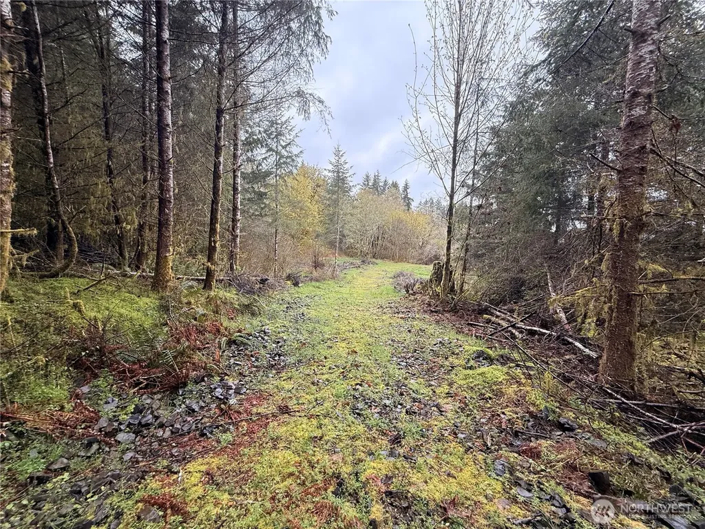 0 Bunker Creek Road Adna WA 98522