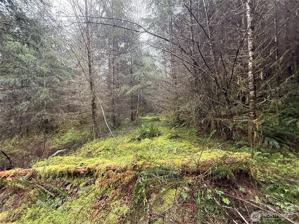 0 Bunker Creek Road Adna WA 98522