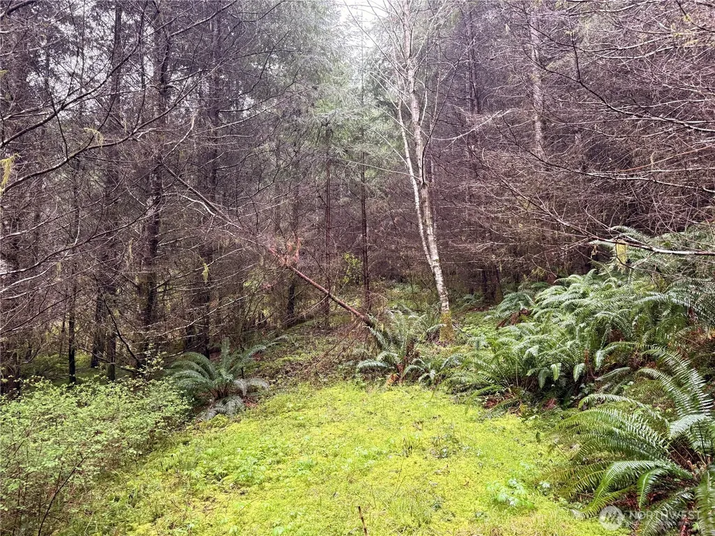 0 Bunker Creek Road Adna WA 98522