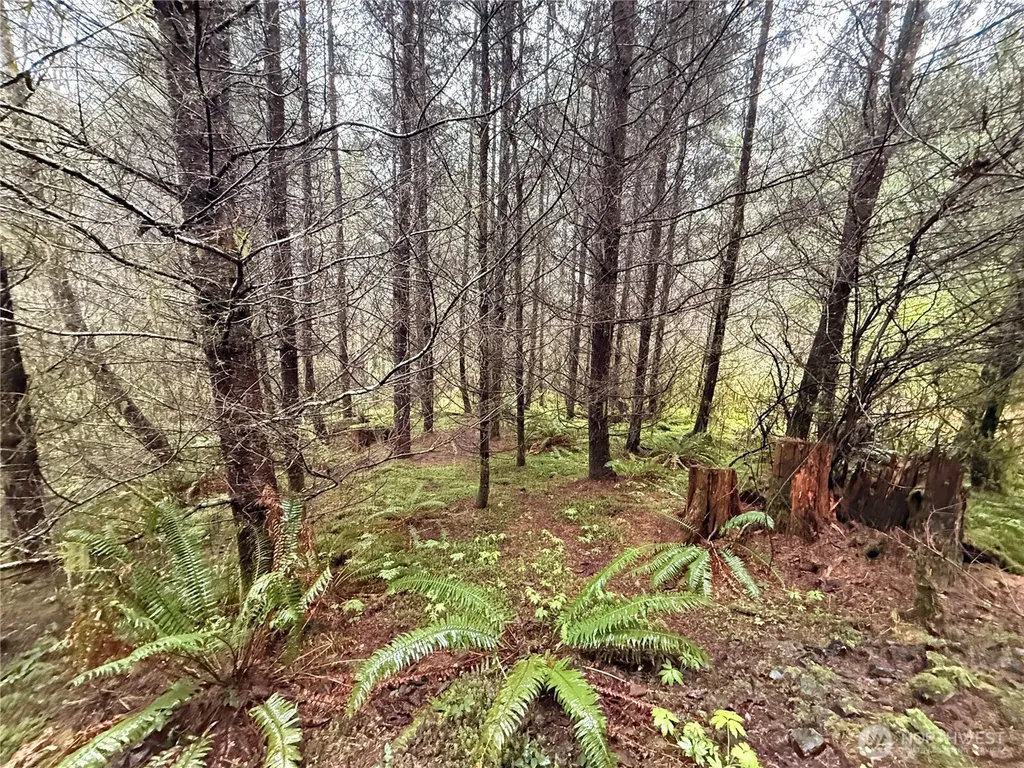 0 Bunker Creek Road Adna WA 98522