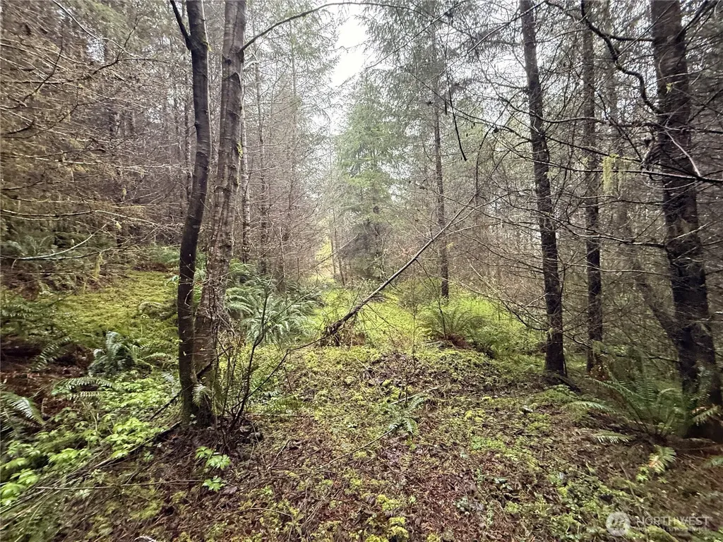 0 Bunker Creek Road Adna WA 98522