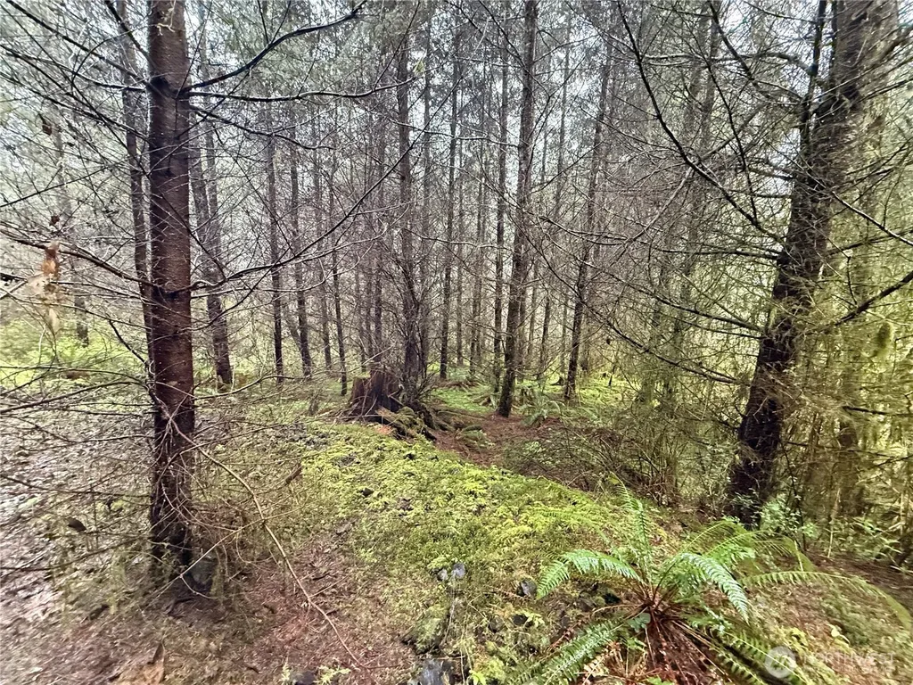 0 Bunker Creek Road Adna WA 98522