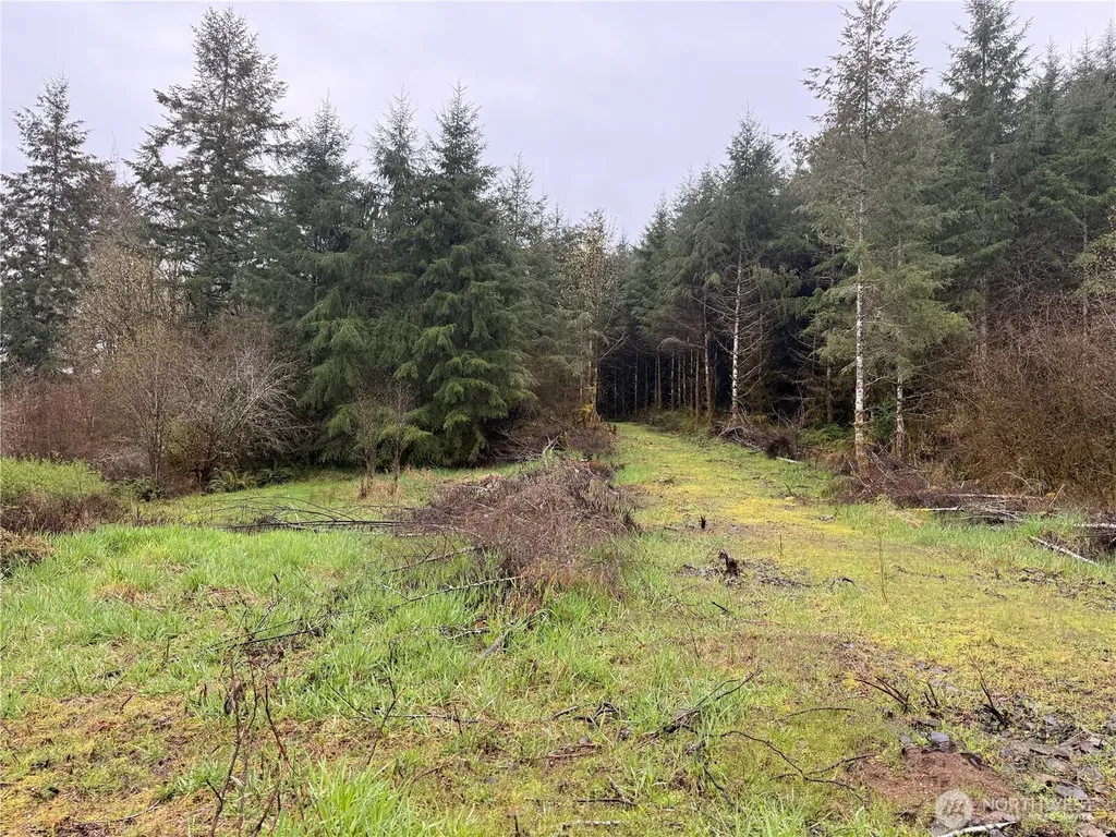 0 Bunker Creek Road Adna WA 98522