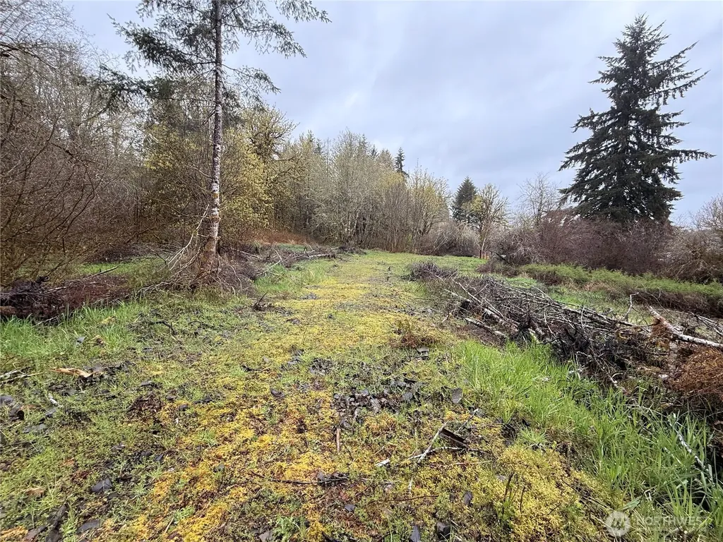 0 Bunker Creek Road Adna WA 98522