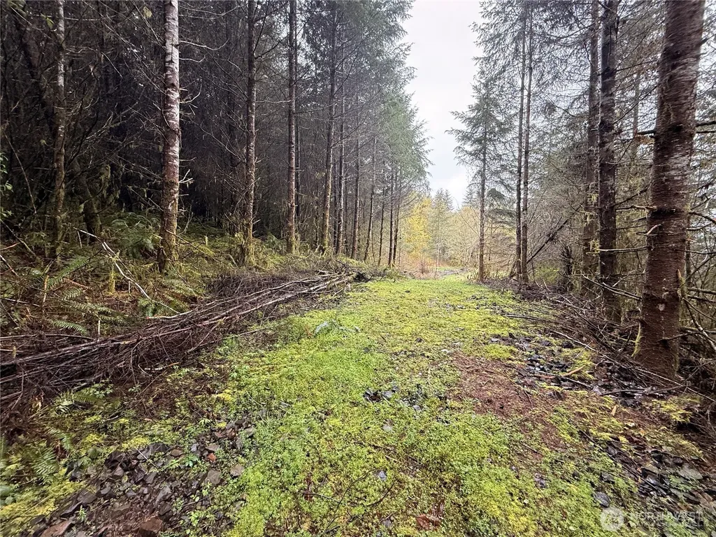 0 Bunker Creek Road Adna WA 98522