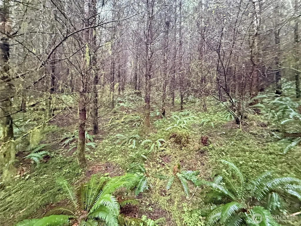0 Bunker Creek Road Adna WA 98522