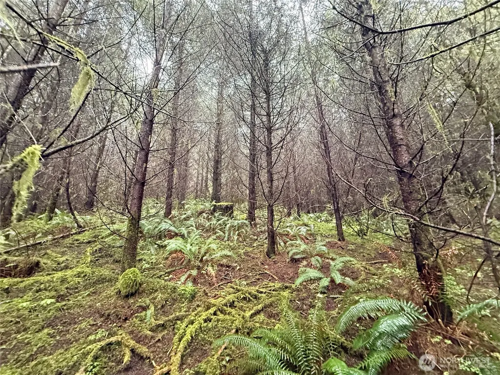 0 Bunker Creek Road Adna WA 98522